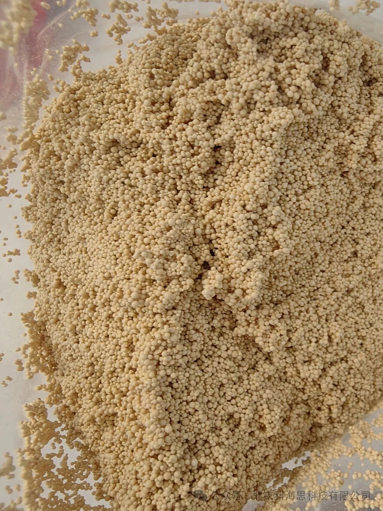 0320-1-2.jpg 0320-1-2.jpg