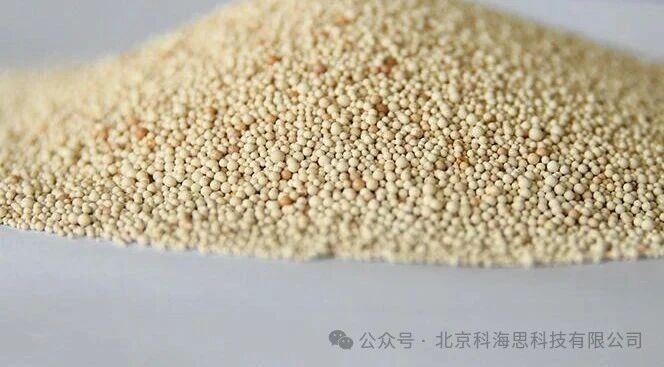 0410-2-3.jpg 0410-2-3.jpg